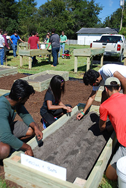 Planting seeds